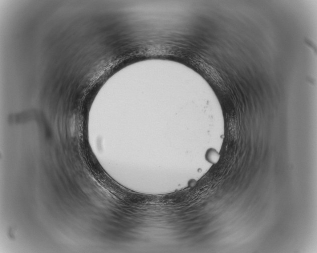 X0000095880732200802081054