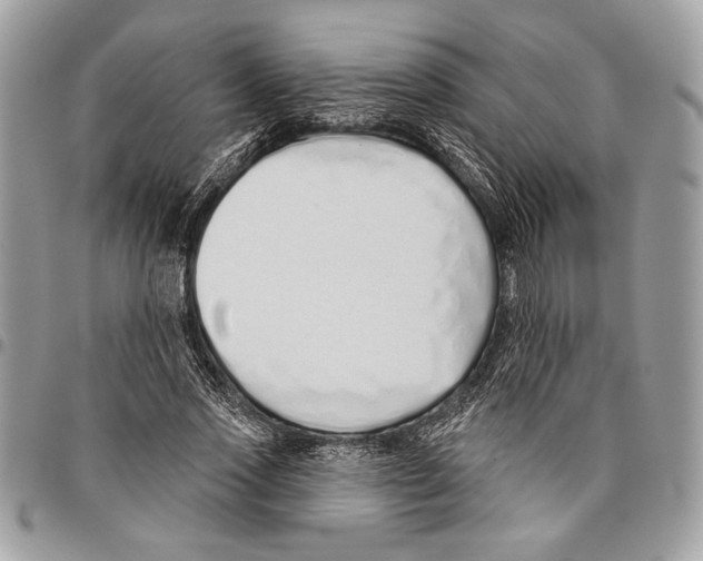 X0000095880733200802081054