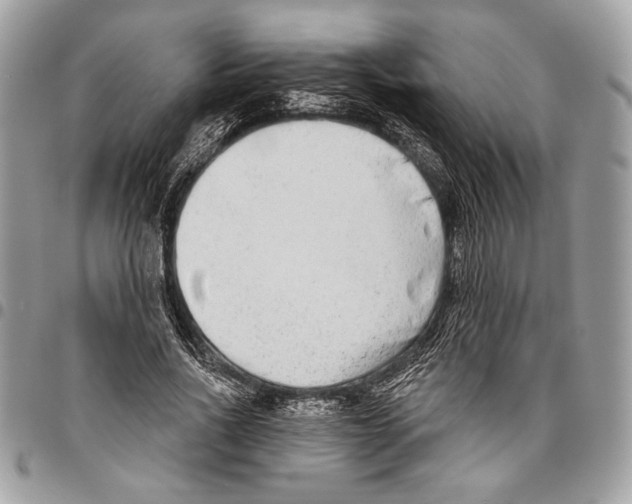 X0000095880734200802081054