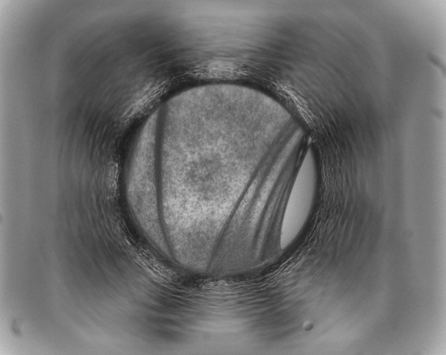 X0000095880735200802081054