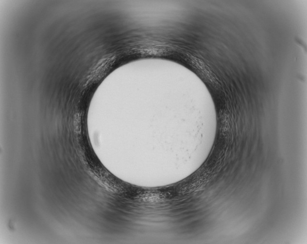 X0000095880738200802081054