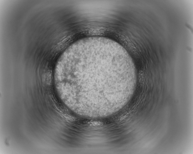 X0000095880741200802081054