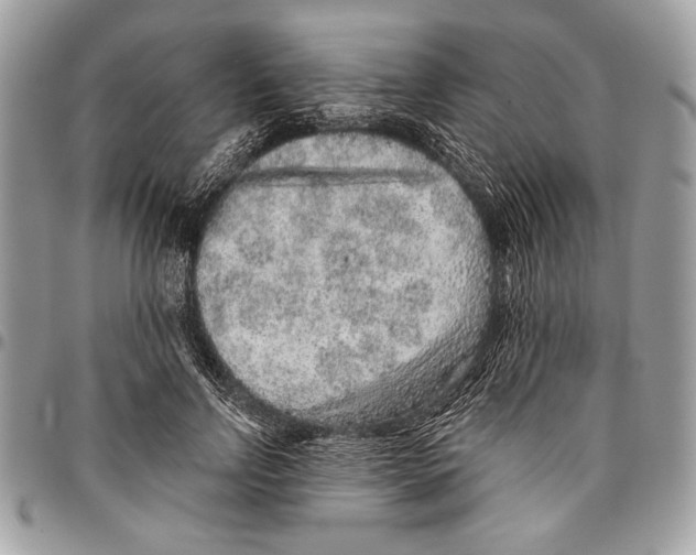 X0000095880742200802081054