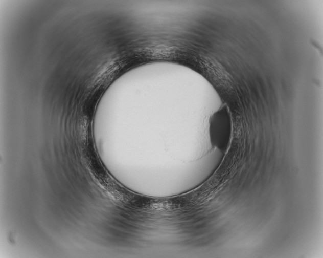 X0000095880744200802081054