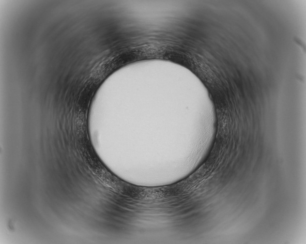 X0000095880745200802081054