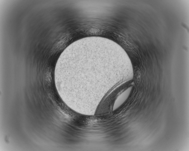 X0000095880746200802081054