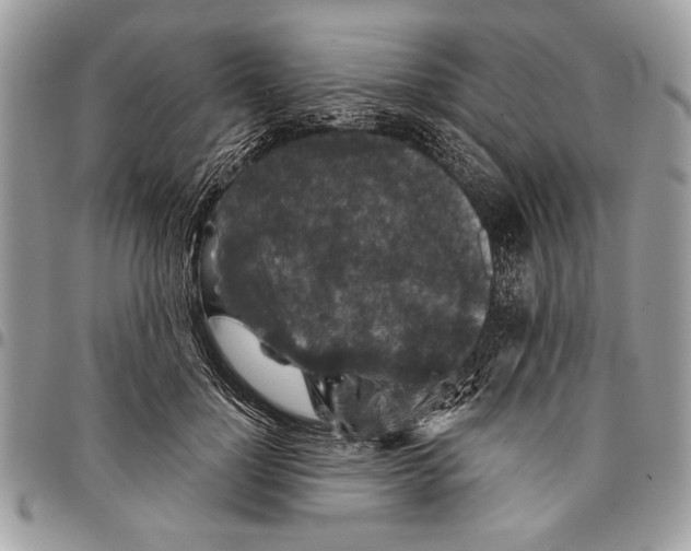 X0000095880748200802081054