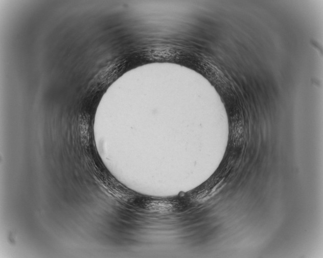 X0000095880749200802081054