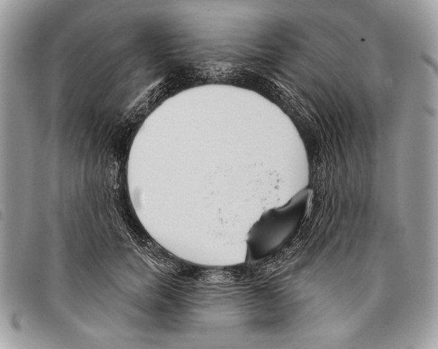 X0000095880750200802081054