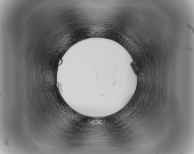 X0000095880751200802081054