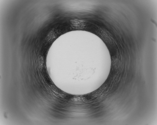 X0000095880752200802081054