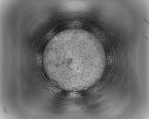 X0000095880753200802081054