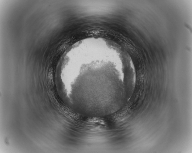 X0000095880754200802081054