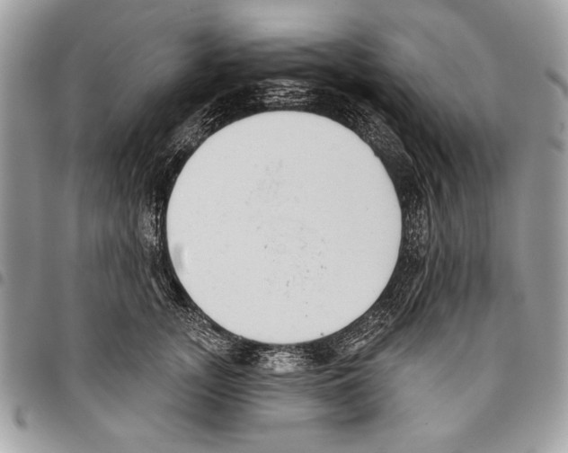 X0000095880755200802081054