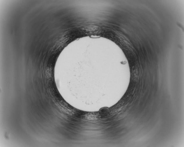 X0000095880756200802081054