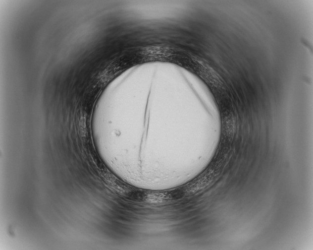 X0000095880757200802081054