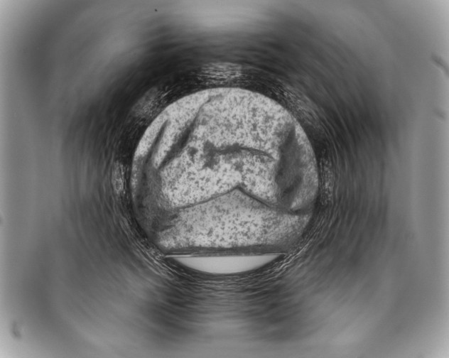 X0000095880758200802081054