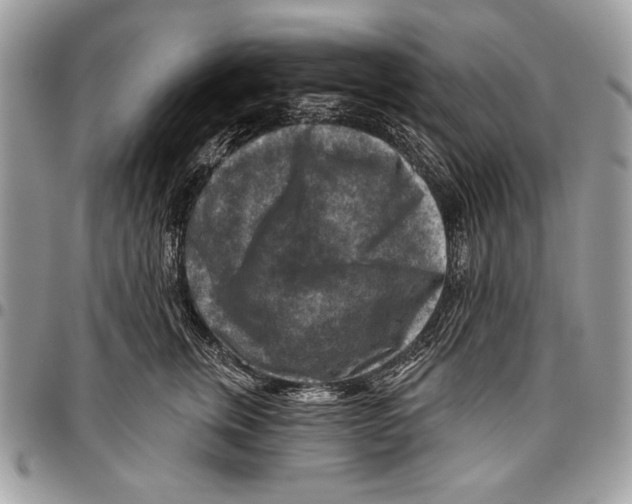 X0000095880759200802081054