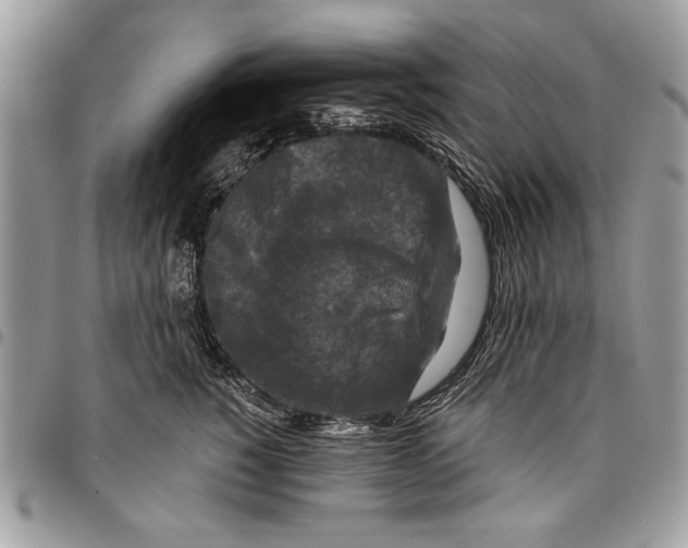 X0000095880760200802081054