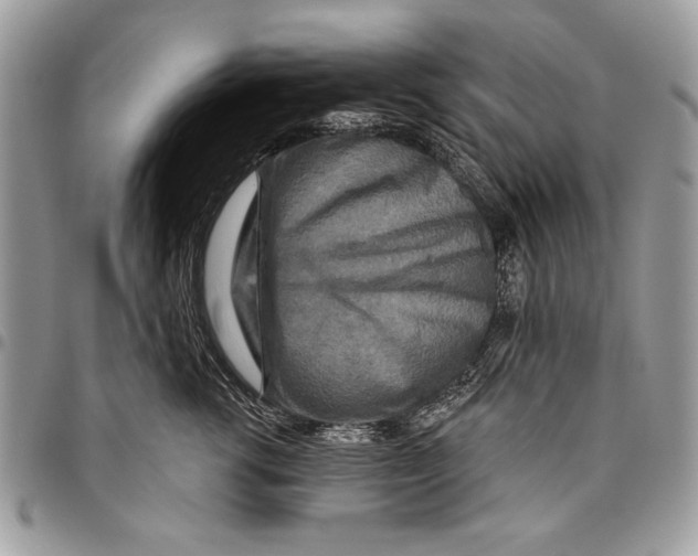 X0000095880762200802081054