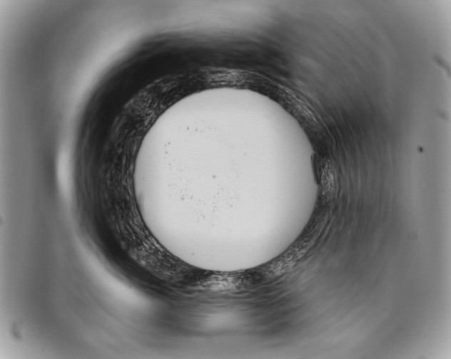 X0000095880764200802081054