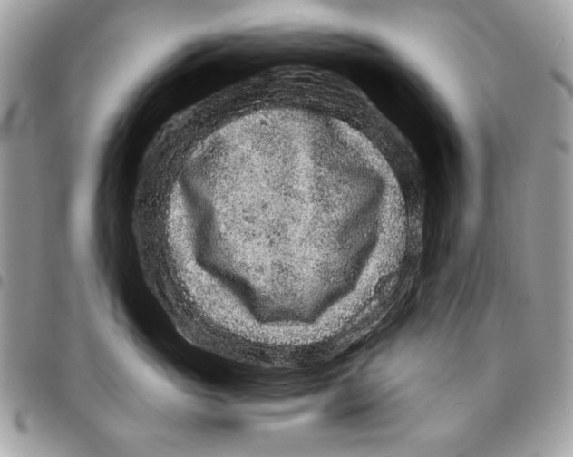 X0000095880765200802081054