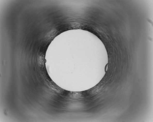 X0000095880768200802081054