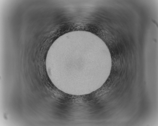 X0000095880769200802081053