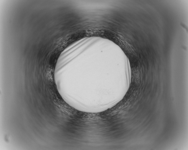 X0000095880770200802081053