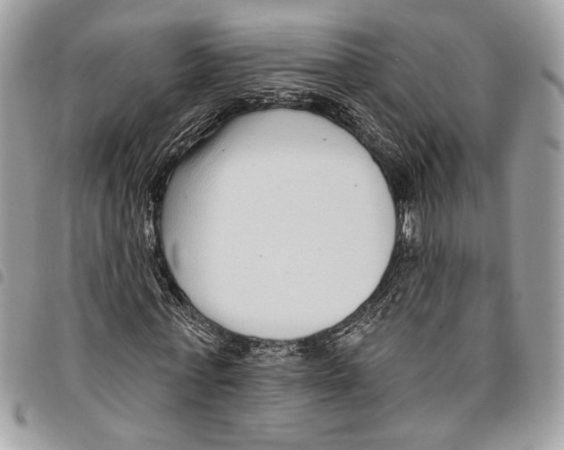 X0000095880771200802081053