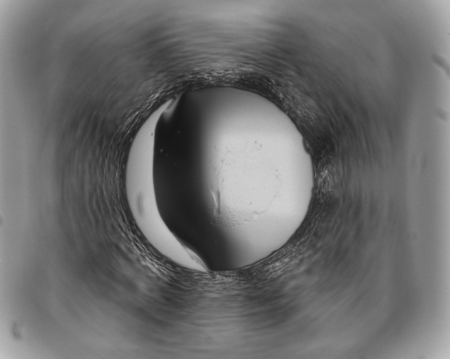 X0000095880772200802081053