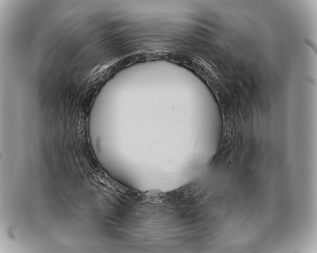 X0000095880773200802081053