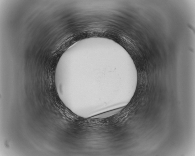 X0000095880774200802081053