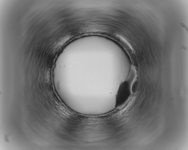 X0000095880777200802081053