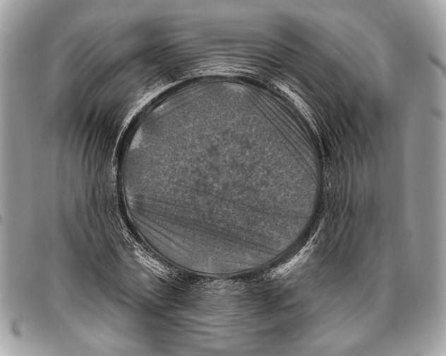 X0000095880779200802081053