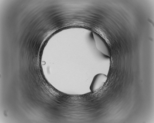 X0000095880780200802081053