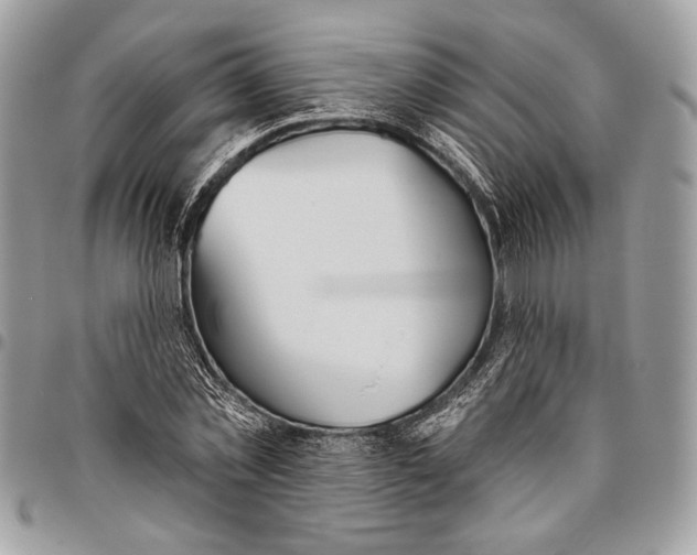 X0000095880781200802081053