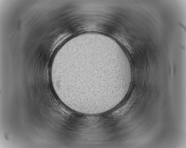 X0000095880782200802081053