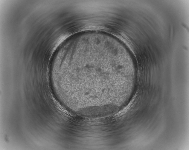 X0000095880783200802081053