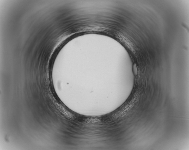 X0000095880784200802081053