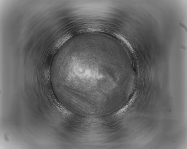 X0000095880785200802081053