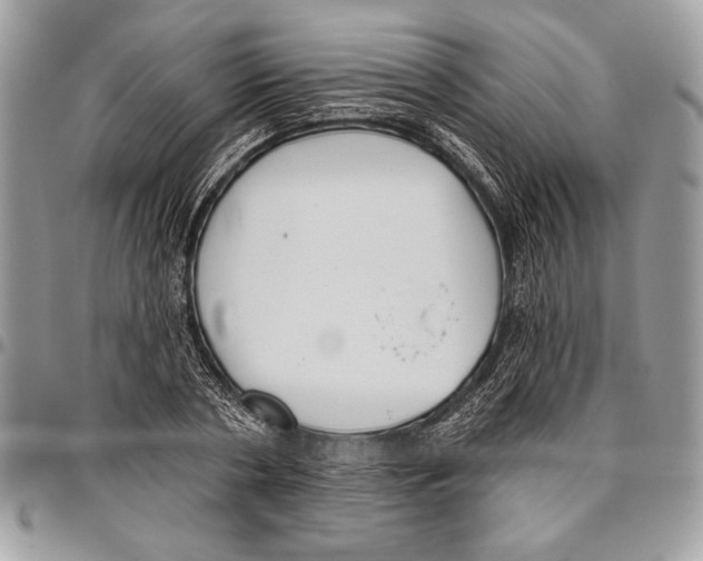 X0000095880786200802081053