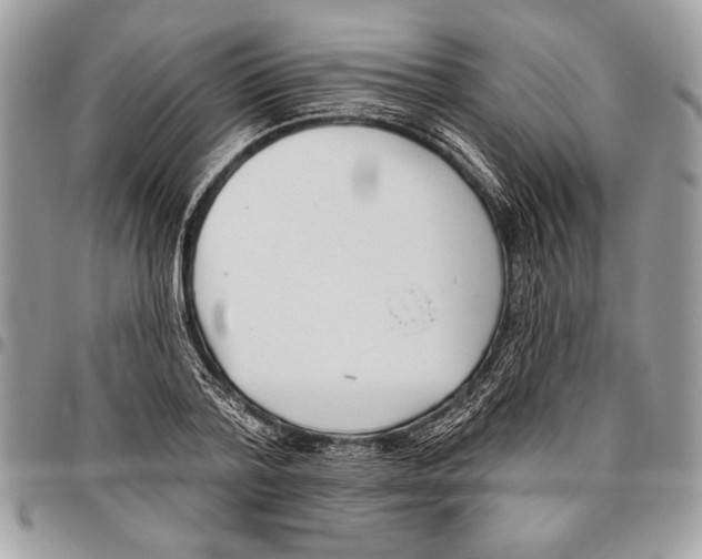 X0000095880788200802081053