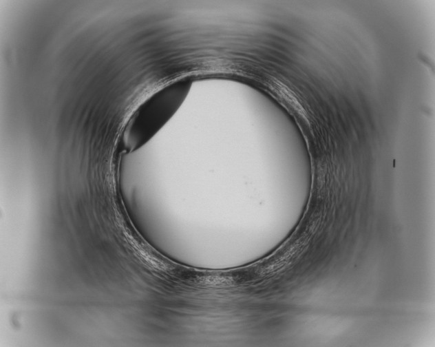 X0000095880789200802081053