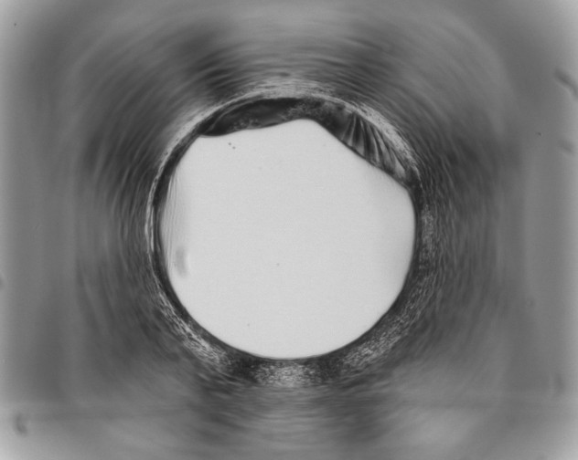 X0000095880791200802081053