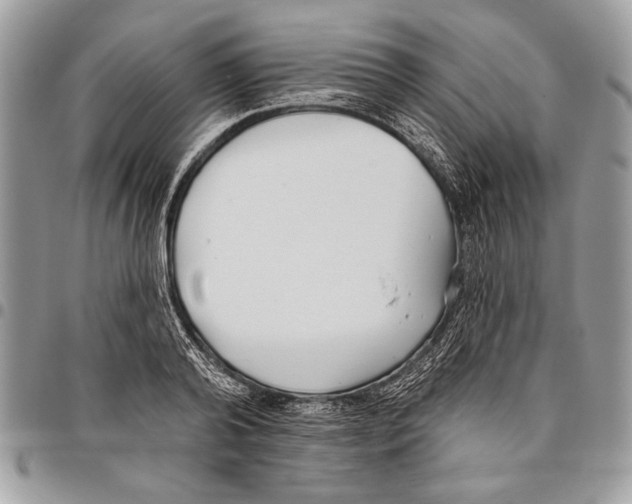 X0000095880792200802081053