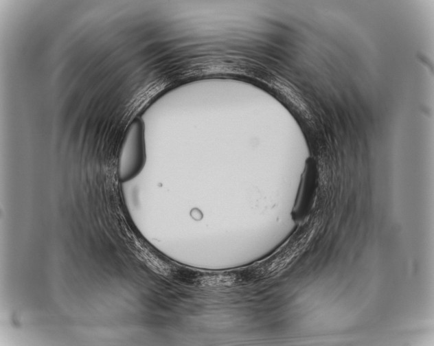 X0000095880793200802081053