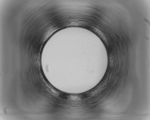 X0000095880794200802081053