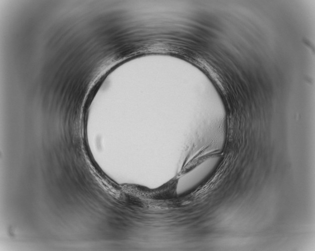 X0000095880795200802081053