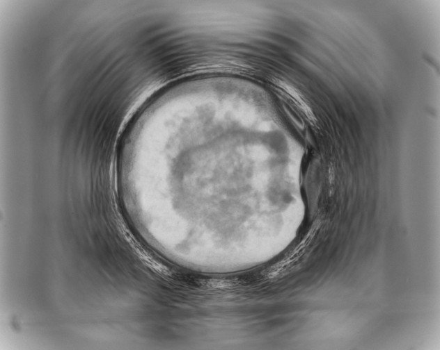 X0000095880796200802081053